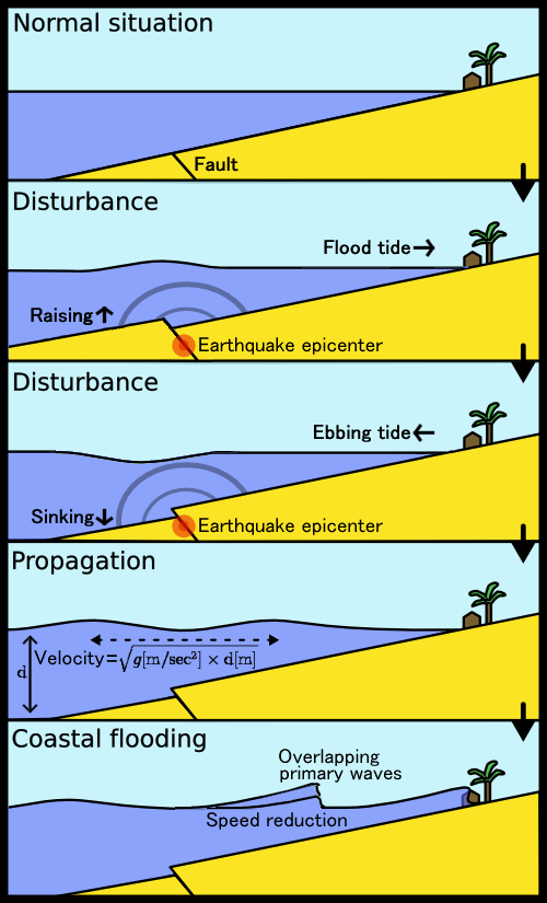 Esquema del mecanismo de producción de un tsunami. Crédito: Tsunami schema comic book style Drawn by Anthony Liekens, via Wikimedia Commons