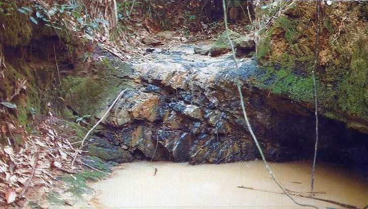 Se pueden observar las dos familias de "cleats". El afloramiento sea adentra varias decenas de metros aguas arriba del arroyo.