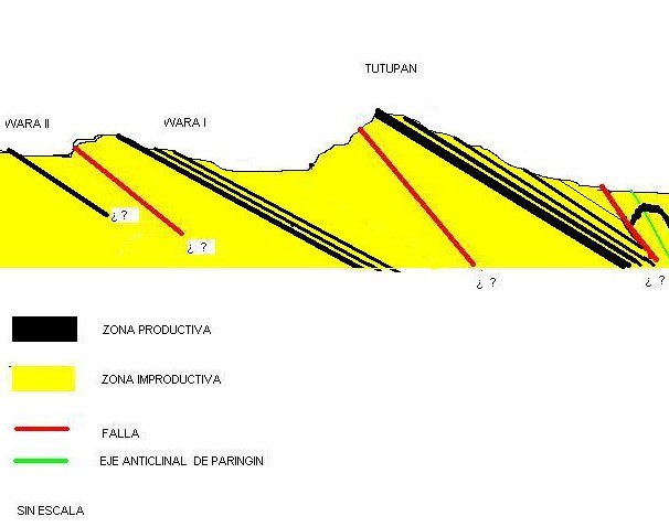 Corte geológico vertical esquemático en el Bloque 8. Kalimantan Selan.