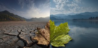 24 octubre – Día Internacional contra el Cambio Climático