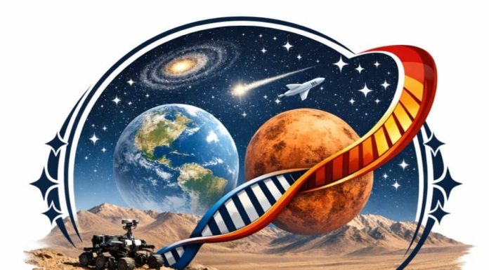 Premio Martínez Frías en Astrobiología