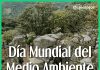 5 de junio – Día Mundial del Medio Ambiente