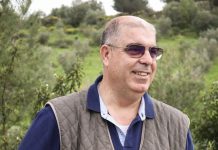 In memoriam Luís Lopes