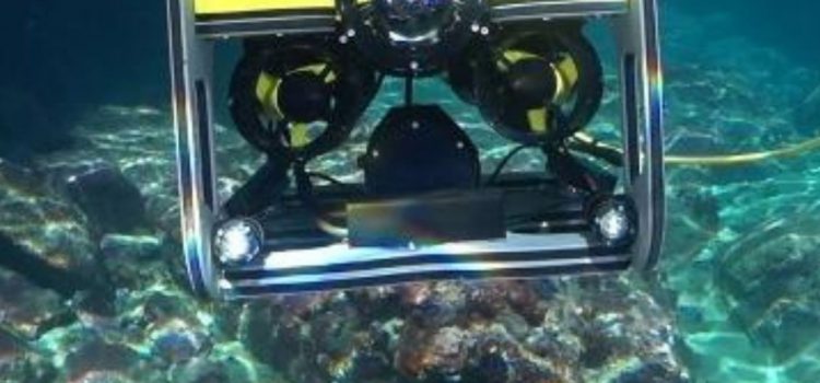 Rov2