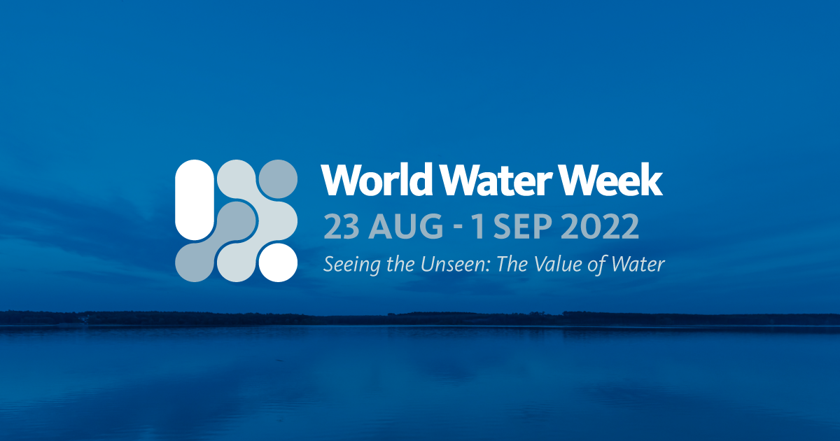 Semana Mundial del Agua 2022 - Geólogos del Mundo